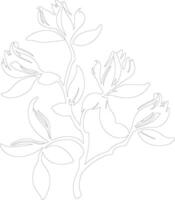 AI generated honeysuckle  outline silhouette vector