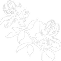 AI generated honeysuckle outline silhouette vector