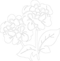 AI generated hydrangea  outline silhouette vector