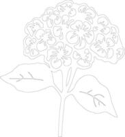 AI generated hydrangea  outline silhouette vector