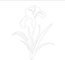 AI generated iris  outline silhouette vector