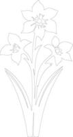 AI generated jonquil  outline silhouette vector
