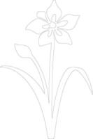 AI generated jonquil  outline silhouette vector