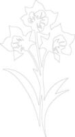 AI generated jonquil  outline silhouette vector