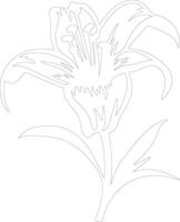 AI generated lily  outline silhouette vector