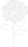 AI generated lantana  outline silhouette vector
