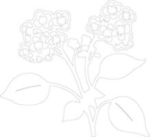 AI generated lantana  outline silhouette vector