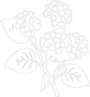 AI generated lantana  outline silhouette vector