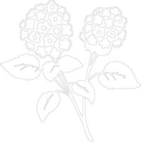 AI generated lantana  outline silhouette vector