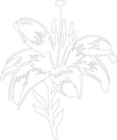 AI generated lily  outline silhouette vector