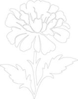 AI generated marigold  outline silhouette vector