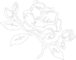 AI generated magnolia  outline silhouette vector