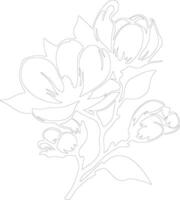 AI generated magnolia outline silhouette vector