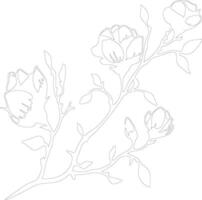 AI generated magnolia  outline silhouette vector