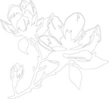 AI generated magnolia  outline silhouette vector