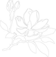 AI generated magnolia  outline silhouette vector