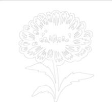 AI generated marigold  outline silhouette vector