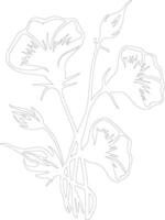 AI generated morning glory  outline silhouette vector