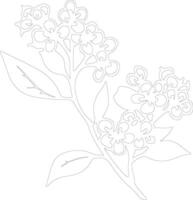 AI generated mountain laurel  outline silhouette vector