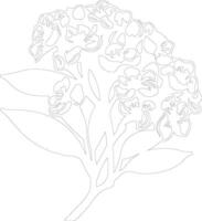 AI generated mountain laurel  outline silhouette vector