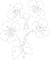 AI generated nasturtium  outline silhouette vector