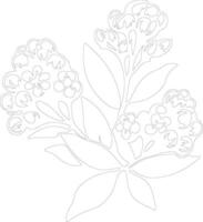 AI generated mountain laurel  outline silhouette vector