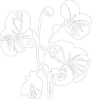 AI generated nasturtium  outline silhouette vector