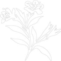 AI generated oleander  outline silhouette vector