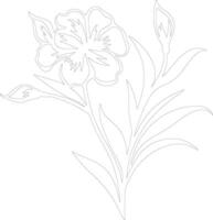 AI generated oleander  outline silhouette vector