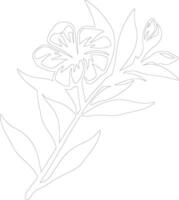 AI generated oleander  outline silhouette vector