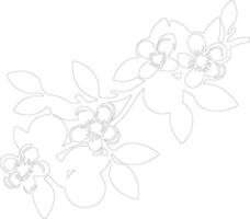 AI generated orange blossom  outline silhouette vector