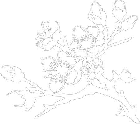 AI generated peach blossom  outline silhouette