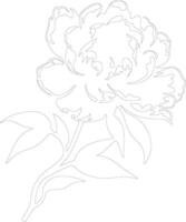 AI generated peony  outline silhouette vector