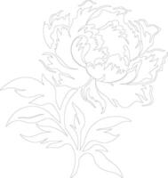 AI generated peony  outline silhouette vector