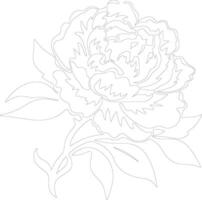 AI generated peony  outline silhouette vector