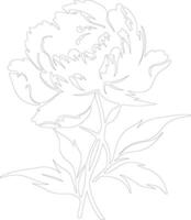 AI generated peony  outline silhouette vector