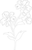 AI generated phlox  outline silhouette vector