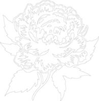 AI generated peony  outline silhouette vector