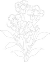 AI generated phlox  outline silhouette vector