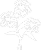 AI generated phlox  outline silhouette vector