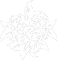 AI generated plumeria  outline silhouette vector