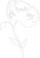AI generated poppy  outline silhouette vector