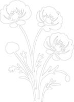 AI generated ranunculus  outline silhouette vector