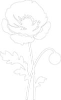 AI generated ranunculus  outline silhouette vector