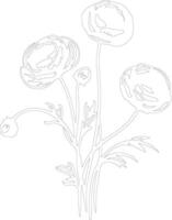 AI generated ranunculus  outline silhouette vector