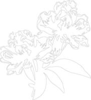 AI generated rhododendron  outline silhouette vector