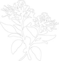 AI generated rhododendron  outline silhouette vector