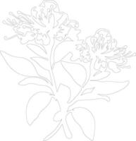 AI generated rhododendron  outline silhouette vector