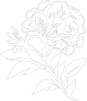 AI generated rhododendron  outline silhouette vector