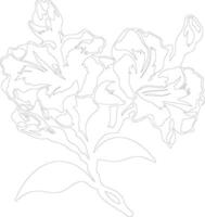 AI generated rhododendron  outline silhouette vector